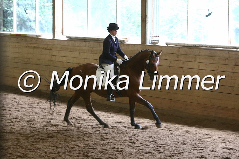 007L7855_Le Cour_Dressur_A.JPG